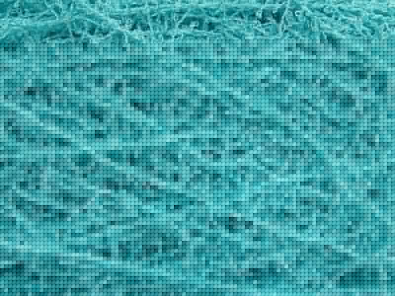 Scrubber Twist