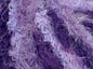 Polar Soft
