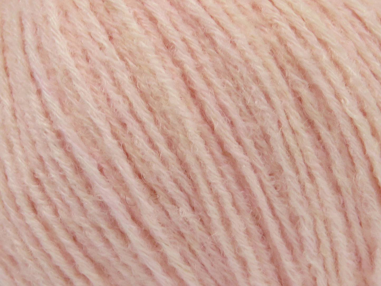Bambino Merino
