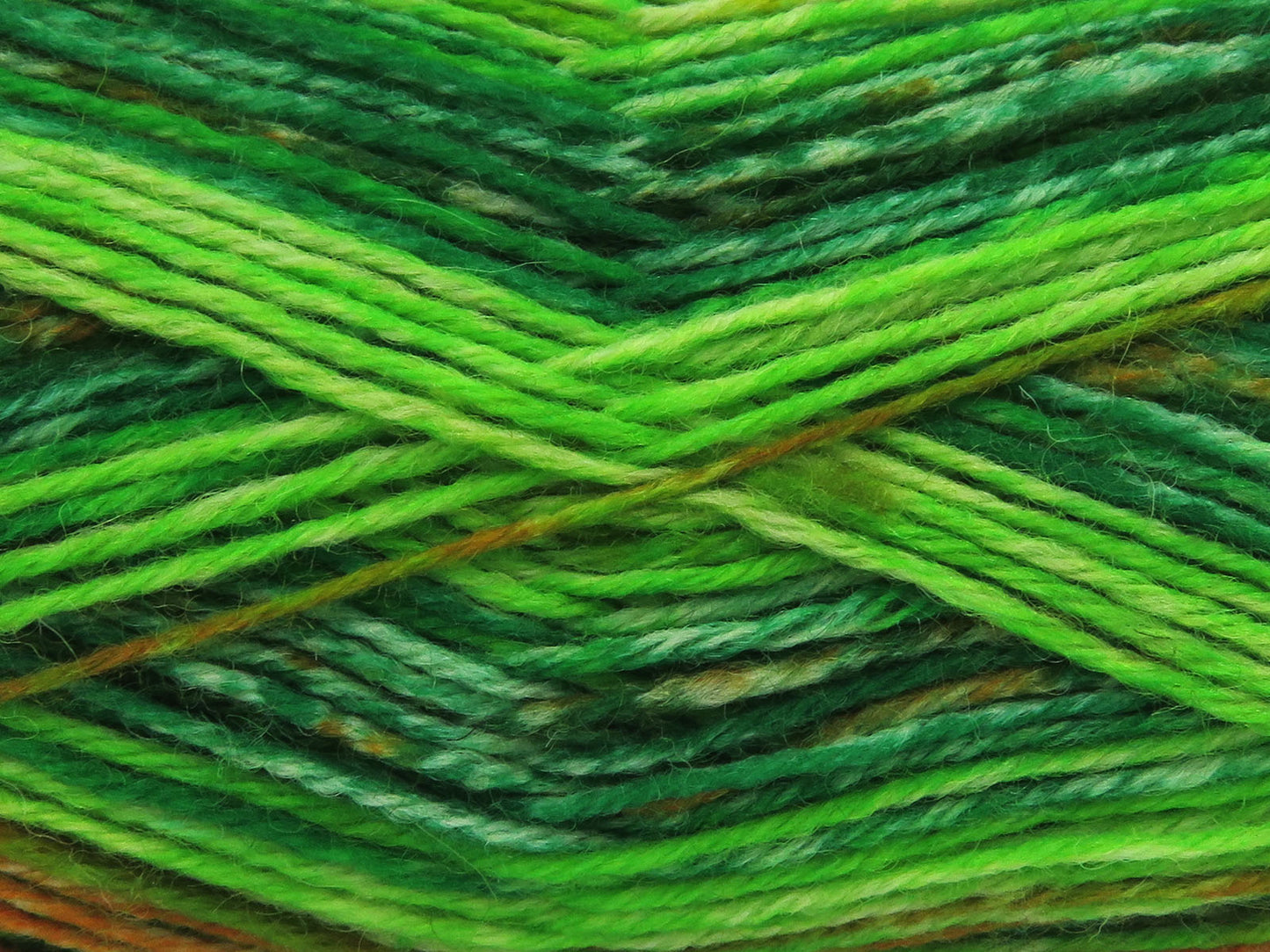 Sock Varicolor