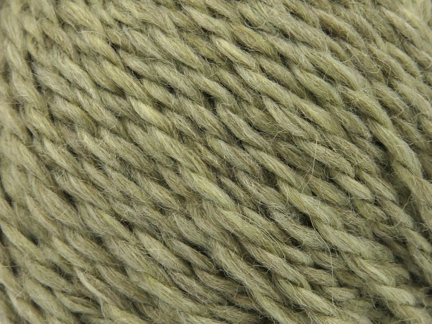 Königliche Wolle