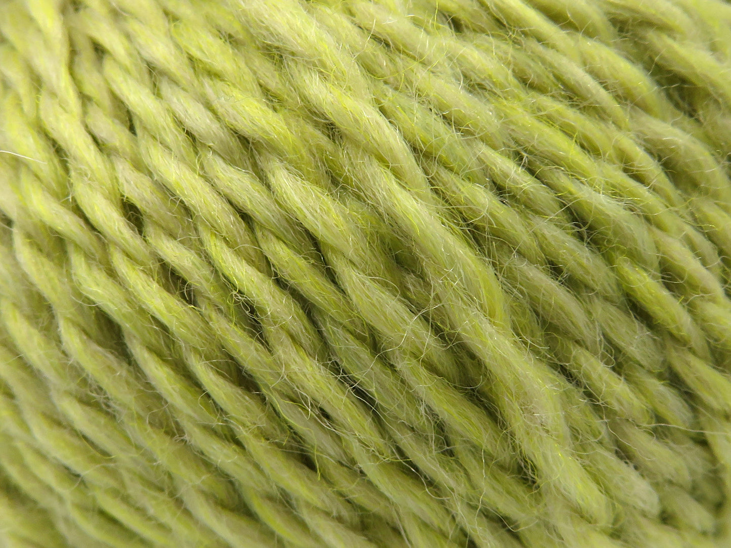 Königliche Wolle