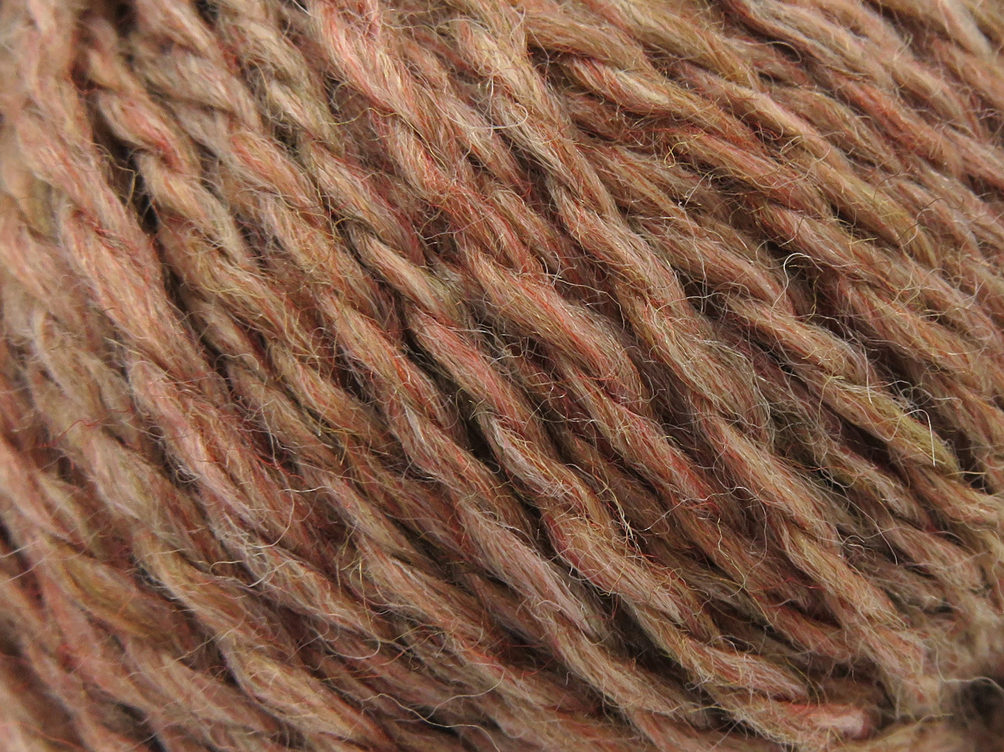Königliche Wolle