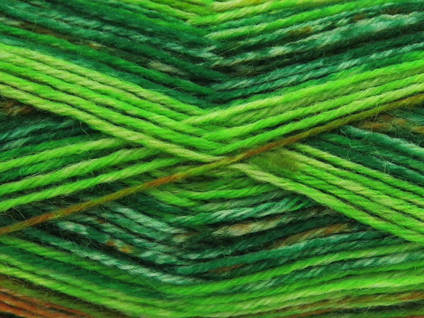 Sock Varicolor
