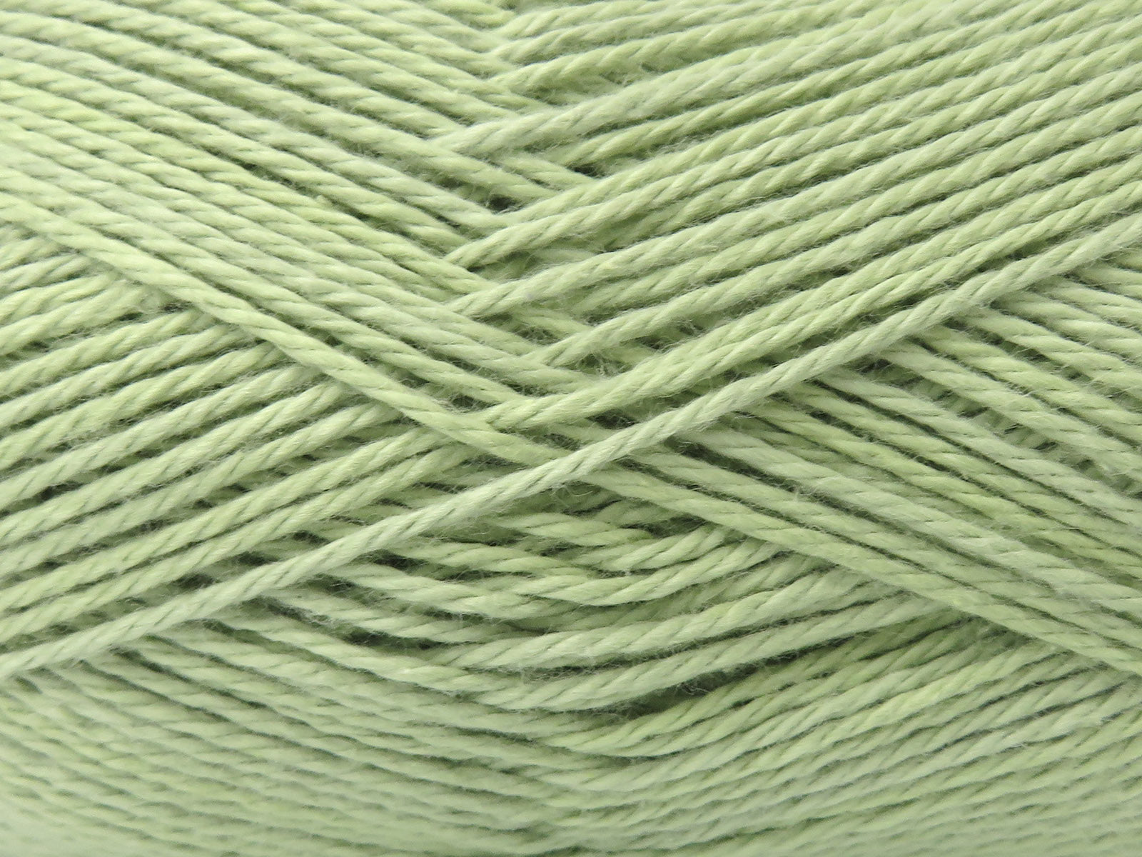 Jodhpur Cotton Light Green fnt2-84863